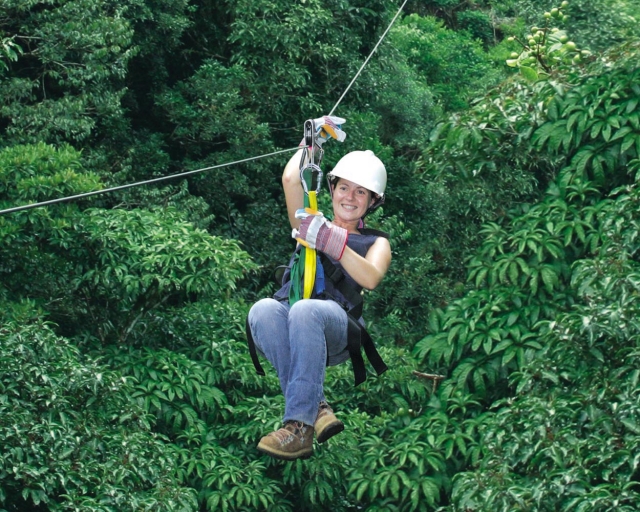 Circuito de canopy